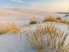 Dünenbild Ostsee Strand