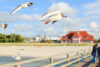 Darß Seebrücke ZIngst