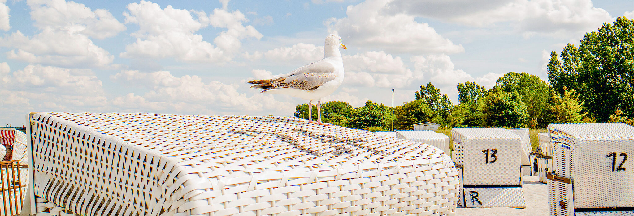 Glowe Möwe Strandkorb