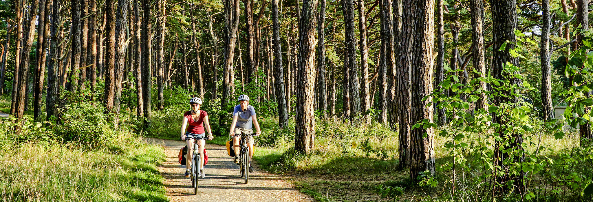 Ostsee, Kühlungsborn Wald Fahrradfahrer