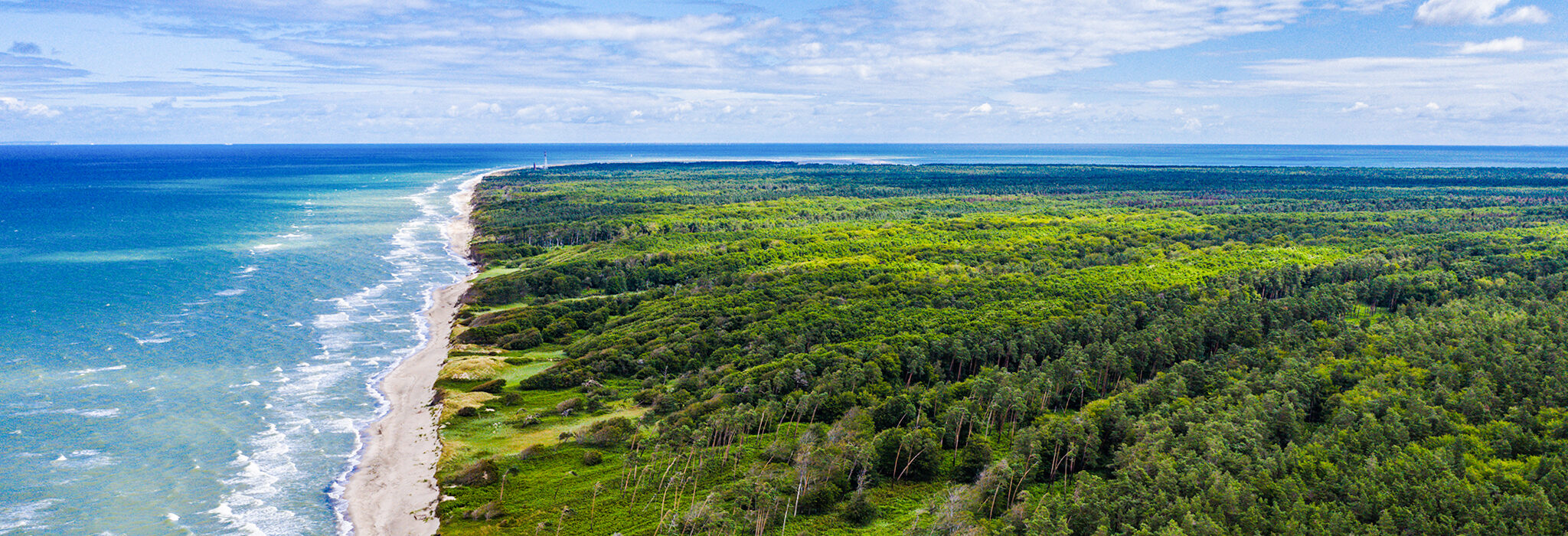 Luftbild Usedom Meer Wald
