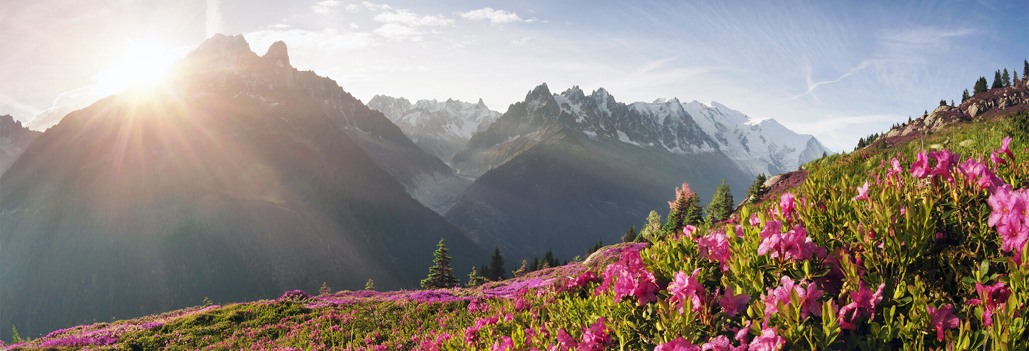 Zillertal Blumenwiese Panorama