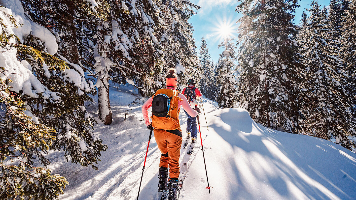 Skitourengeher Sonne Wald