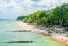 Kolberg Strand Wald