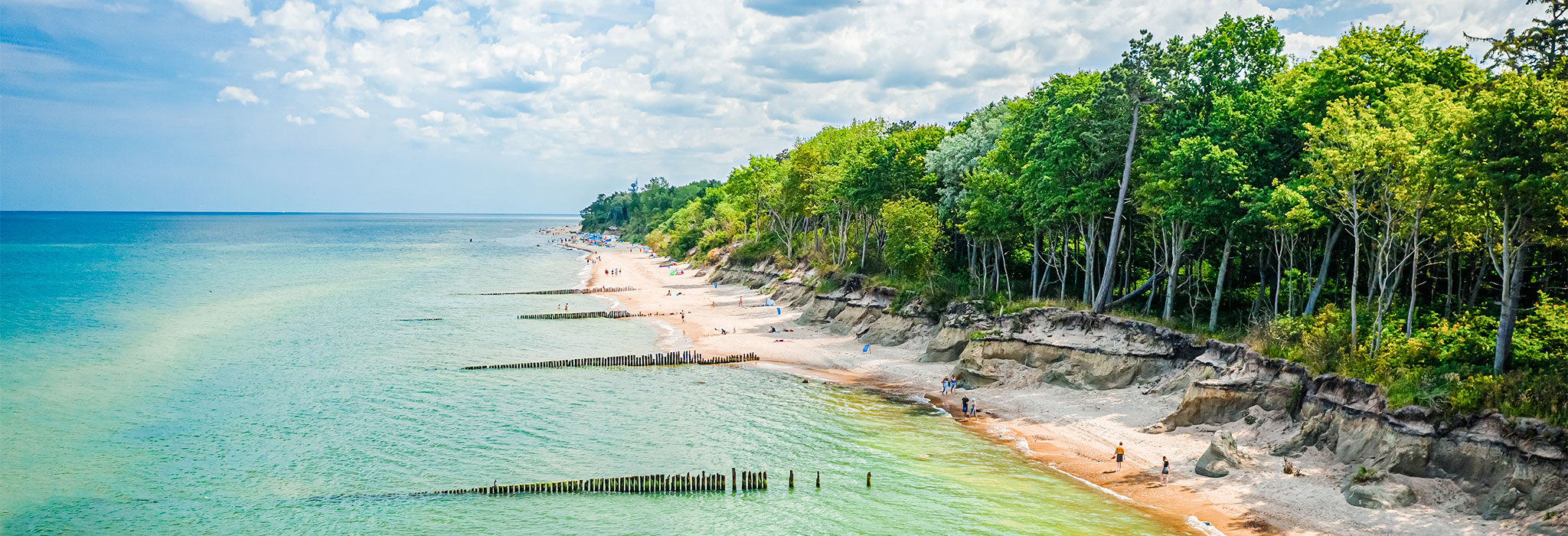 Kolberg Strand Wald